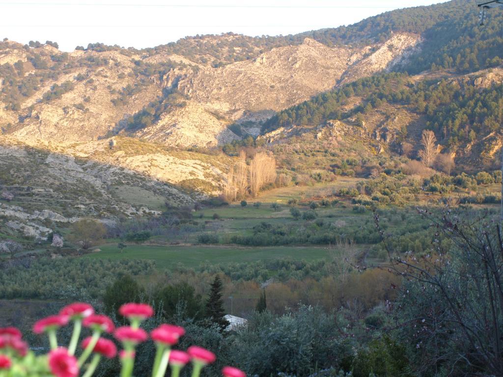 La Almunia Del Valle Моначил Екстериор снимка